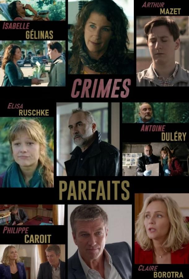 Crimes parfaits (2017)